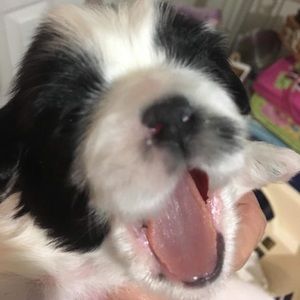 Meet your Posher, Cheryl